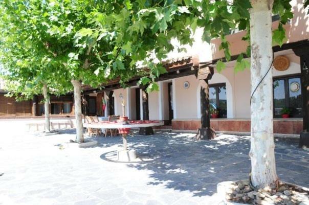 La Huerta Del Rivero San Esteban De Gormaz Ngoại thất bức ảnh